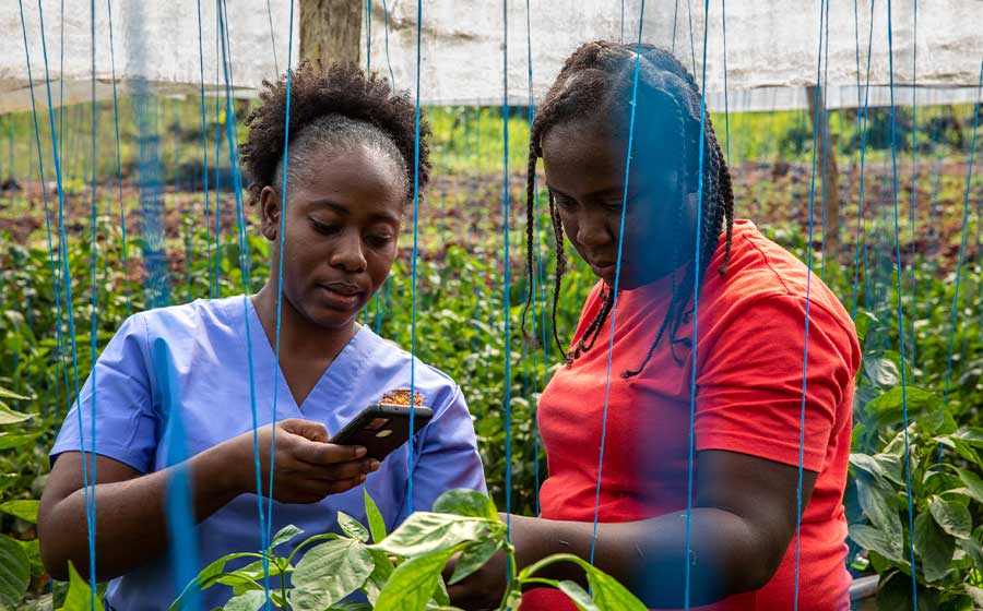 Women Farming